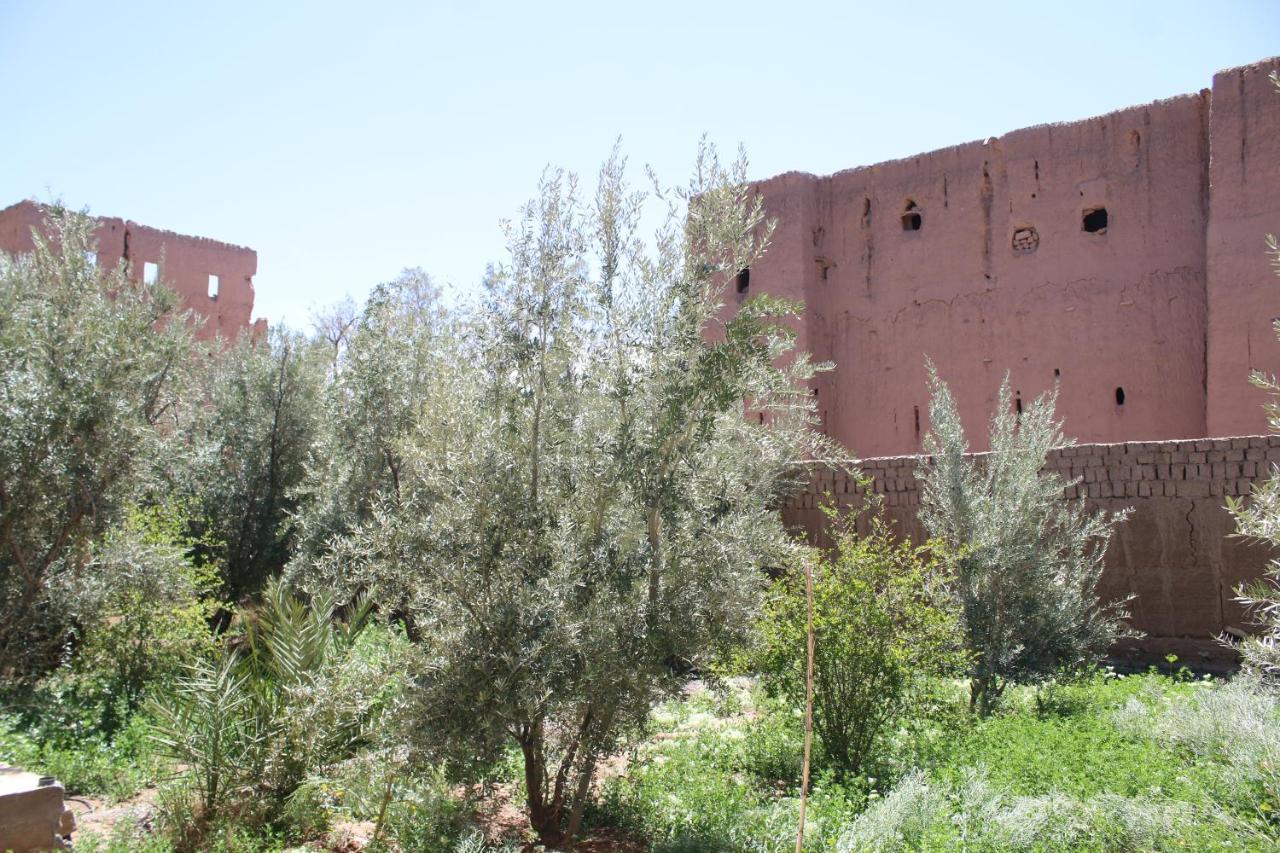 Gite Ait Lmaalam Chez Ahmed Skoura Dış mekan fotoğraf