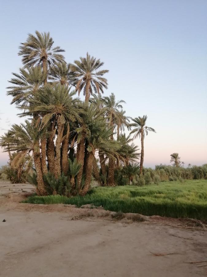 Gite Ait Lmaalam Chez Ahmed Skoura Dış mekan fotoğraf